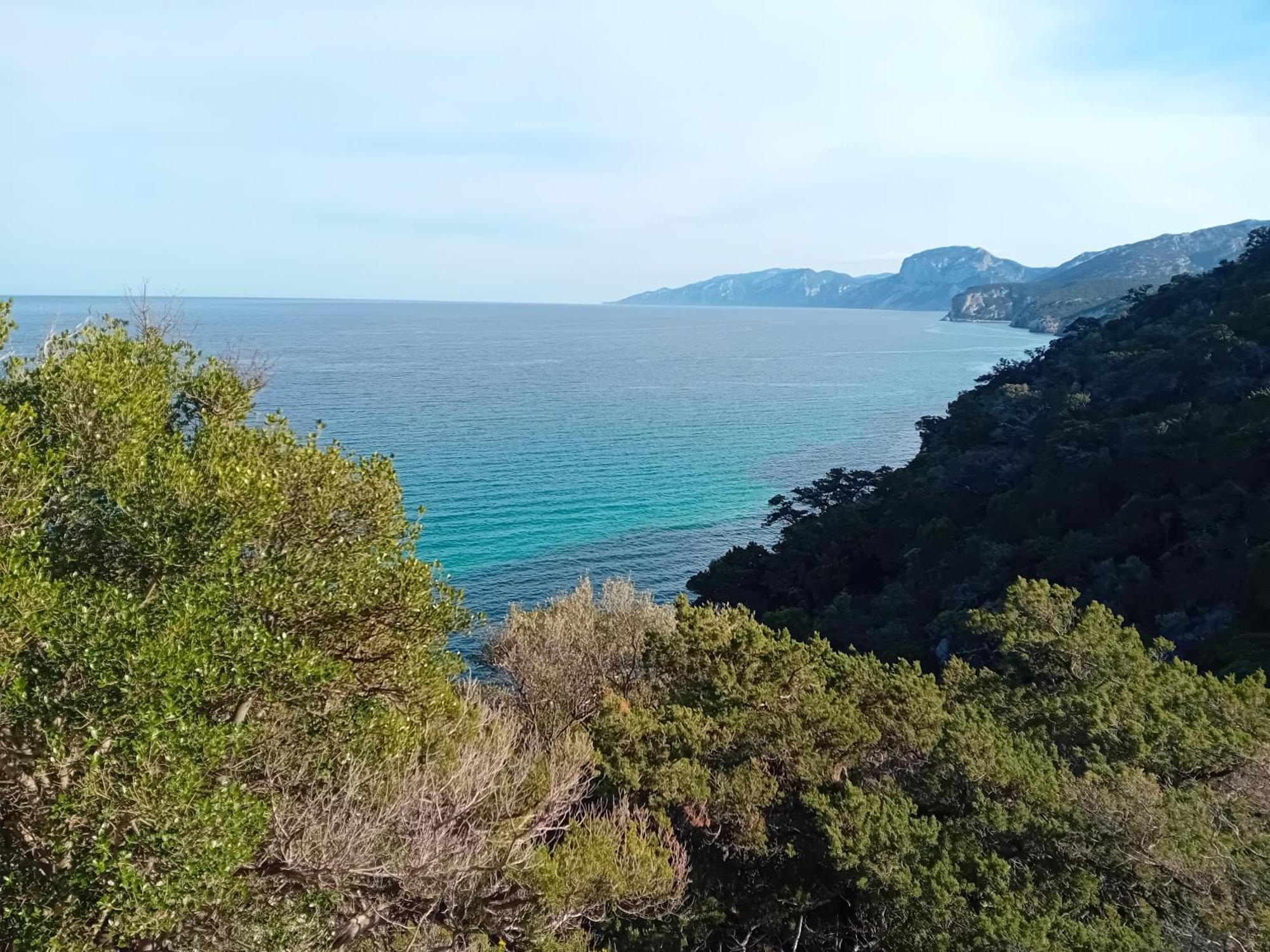 B&B Su Acu Dorgali Buitenkant foto